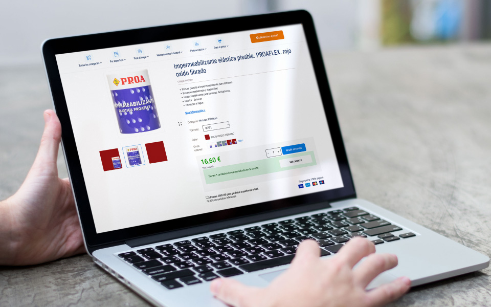 Ecommercem desarrollo a medida en Pinturas