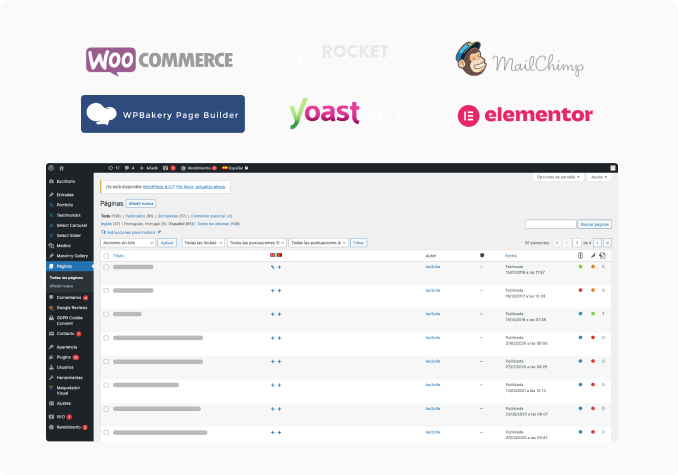 Expertos en Desarrollo Web CMS
